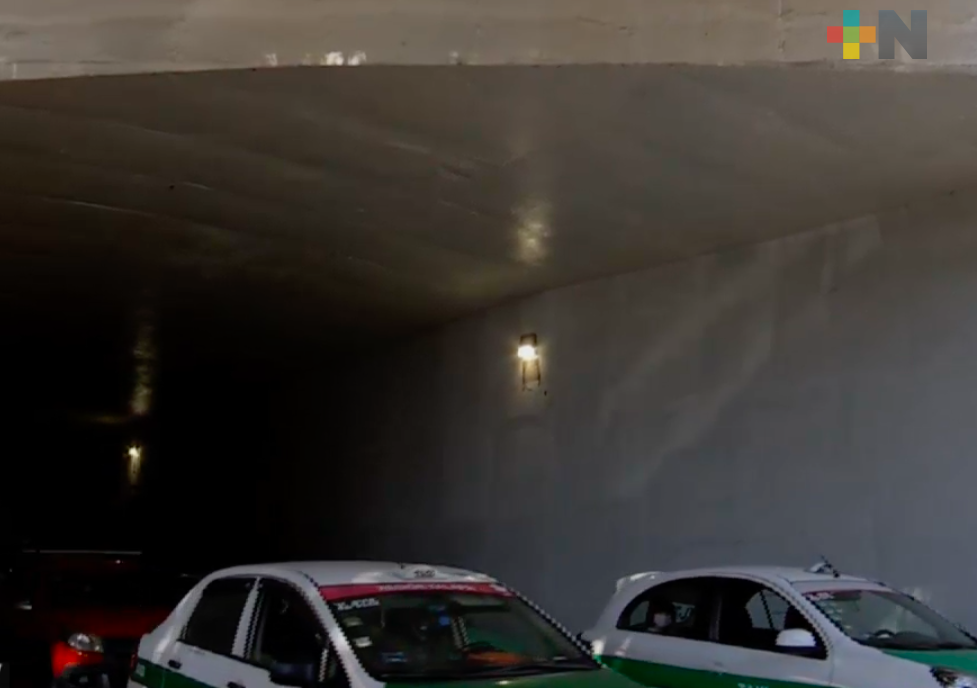 Alumnas de la Facultad de Artes de la UV pintarán mural en viaducto del parque Juárez