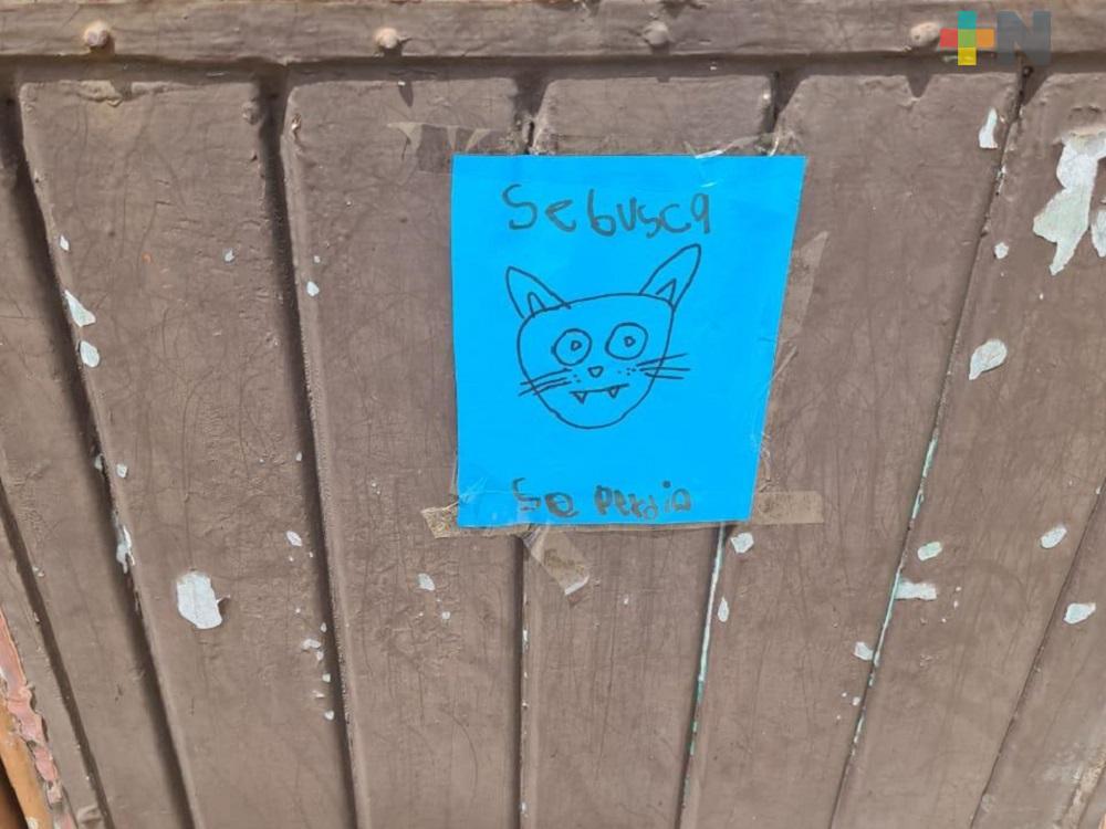 A través de peculiares carteles, niños recuperan a perrito extraviado en Coatzacoalcos