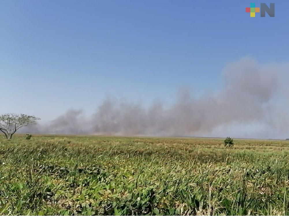 Altas temperaturas provocaron dos incendios en pastizales de Coatzacoalcos