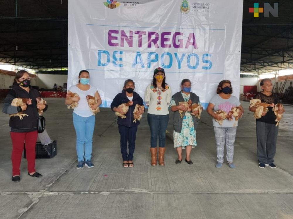 Ayuntamiento de Ixhuatlán del Café hace entrega de gallinas a mujeres de diversas comunidades