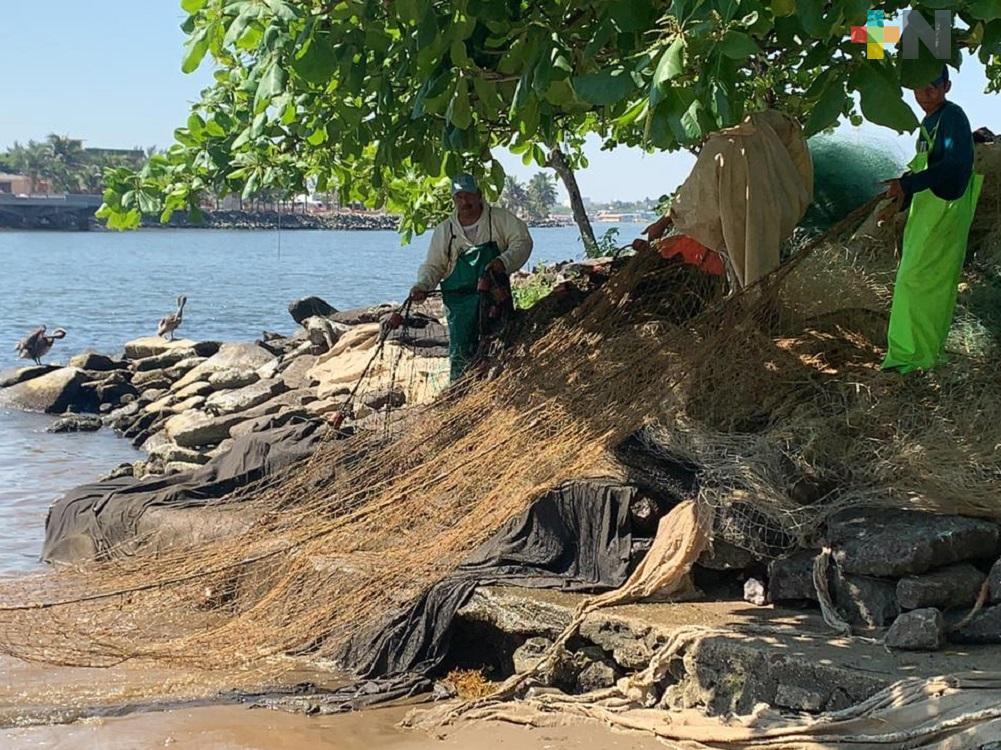 En un 70% se redujo captura de pescados y mariscos en mar de Coatzacoalcos