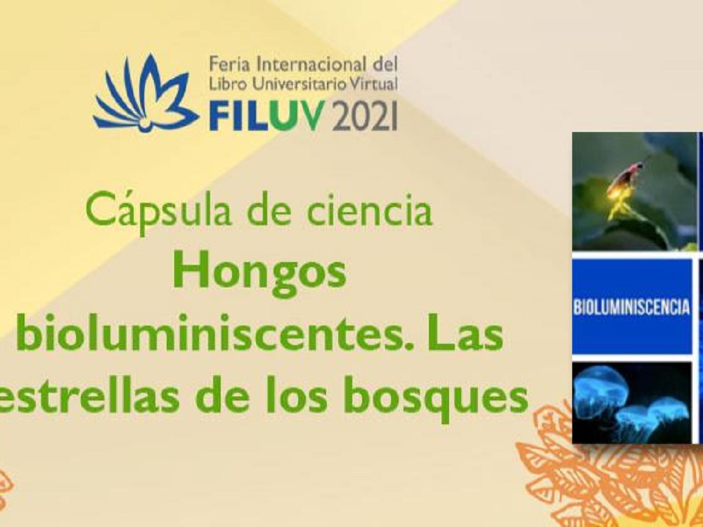 FILU Virtual presenta actividades literarias, artísticas y culturales