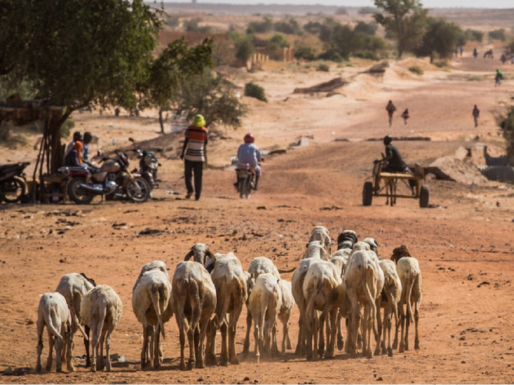 Guterres y Unicef condenan los ataques que han matado a más de 200 civiles en Níger