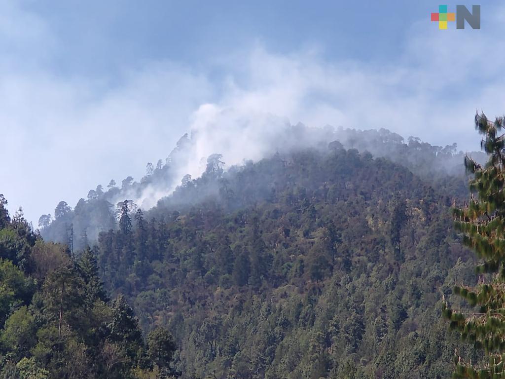 PC reporta liquidación de incendio forestal en Calcahualco, se mantiene la atención en Tatatila y se combate uno nuevo en Maltrata