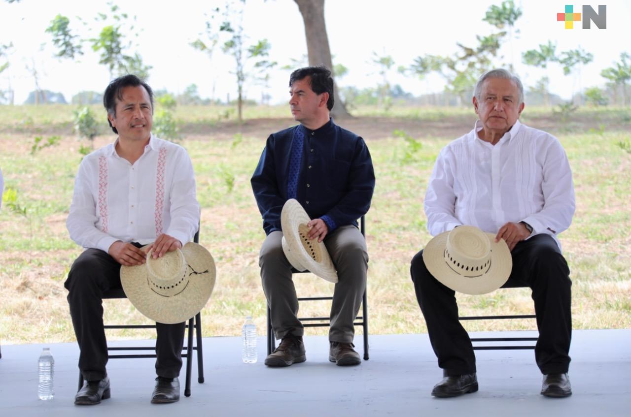 Sembrando Vida y Tandas para el Bienestar trajeron esperanza al campo: gobernador Cuitláhuac García
