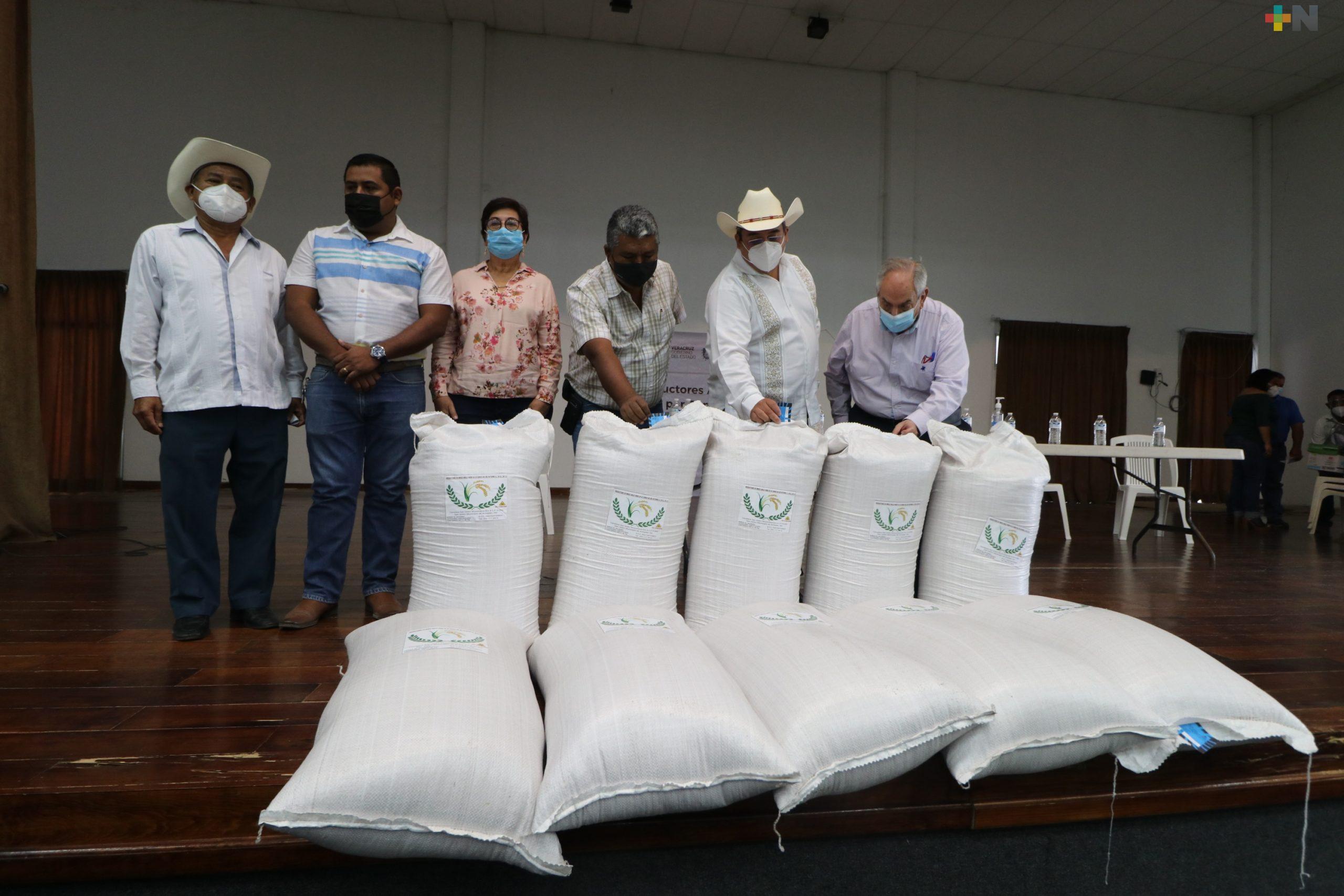 Entregan seguros y semillas a arroceros