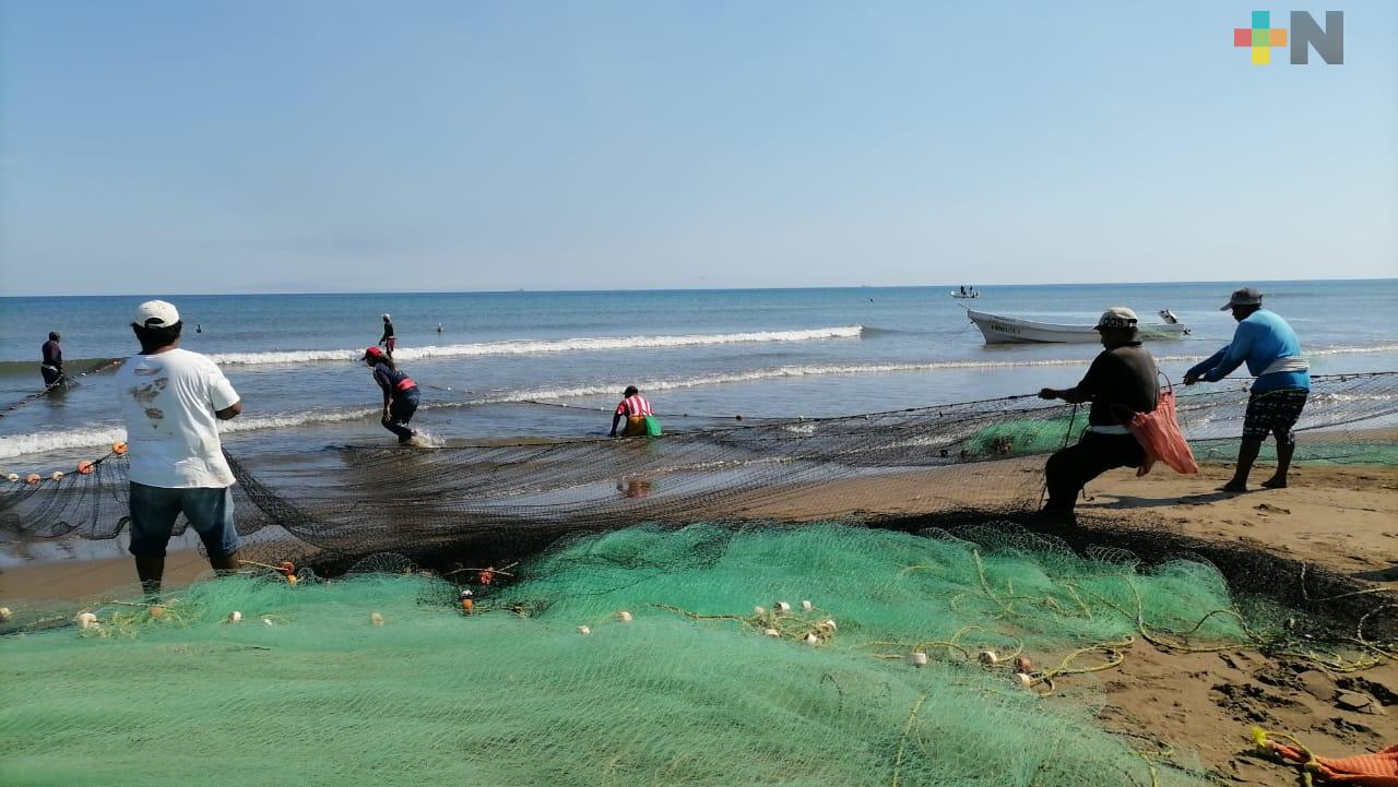 Disminuye captura de productos del mar previo a Semana Santa