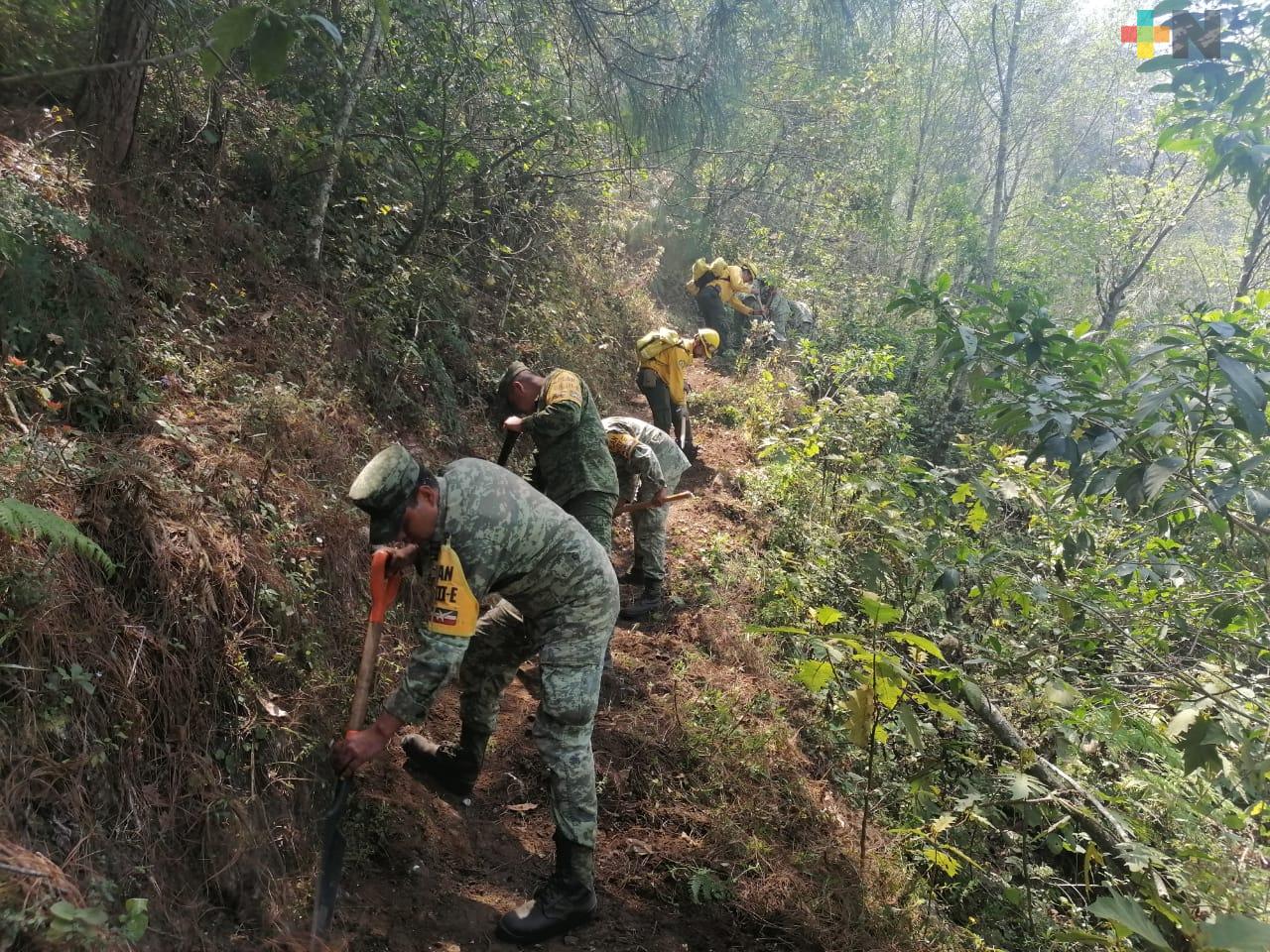Ejército Mexicano aplica el Plan DN-III-E en incendio forestal en Las Vigas