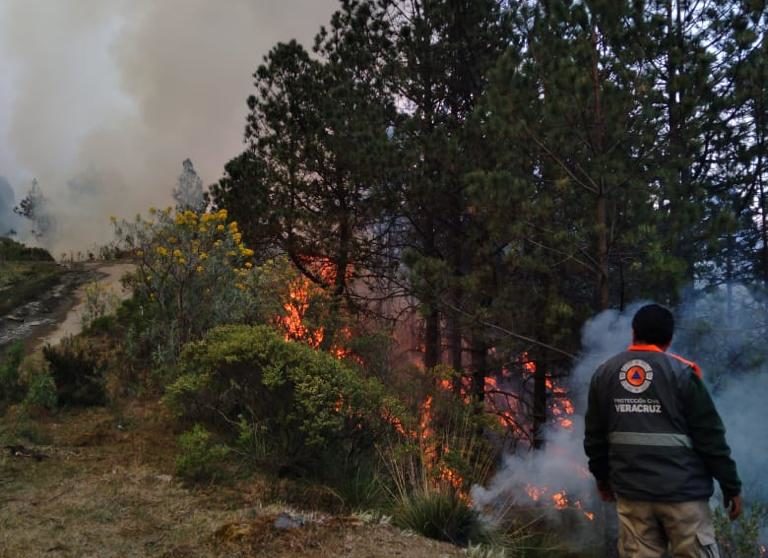 Incendio forestal en La Perla está liquidado, el de Calcahualco controlado y sigue activo el de Tatatila