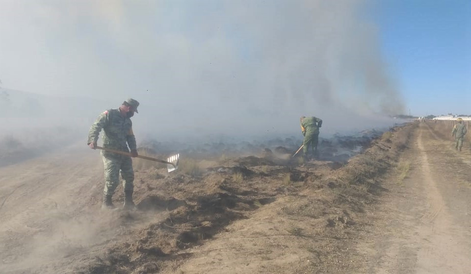 Ejército Mexicano aplicó el Plan-DN-III-E para sofocar incendio forestal