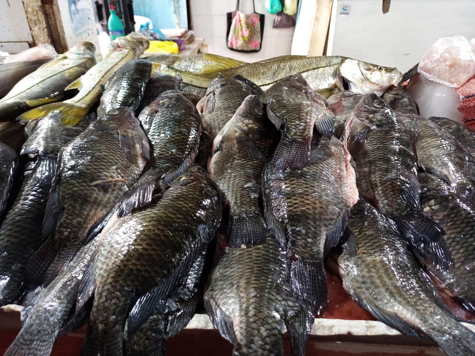 Pescaderías tuvieron un repunte en ventas por Cuaresma, pero el precio del producto afectó a otros negocios