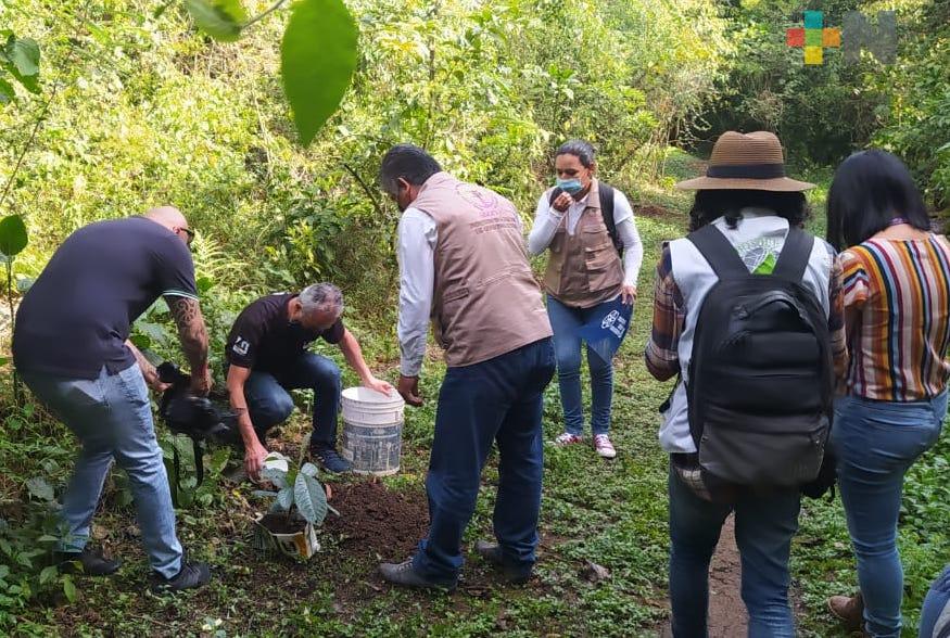 Plantan árboles frutales en el Cerro de la Galaxia en beneficio de la fauna silvestre