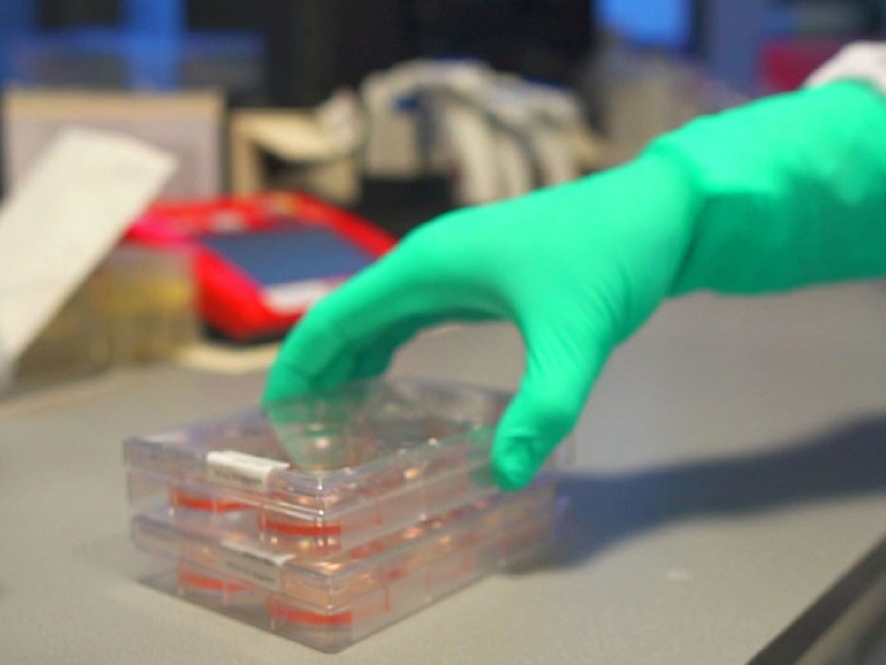 Este viernes se informarán fechas y proceso de vacunación a docentes