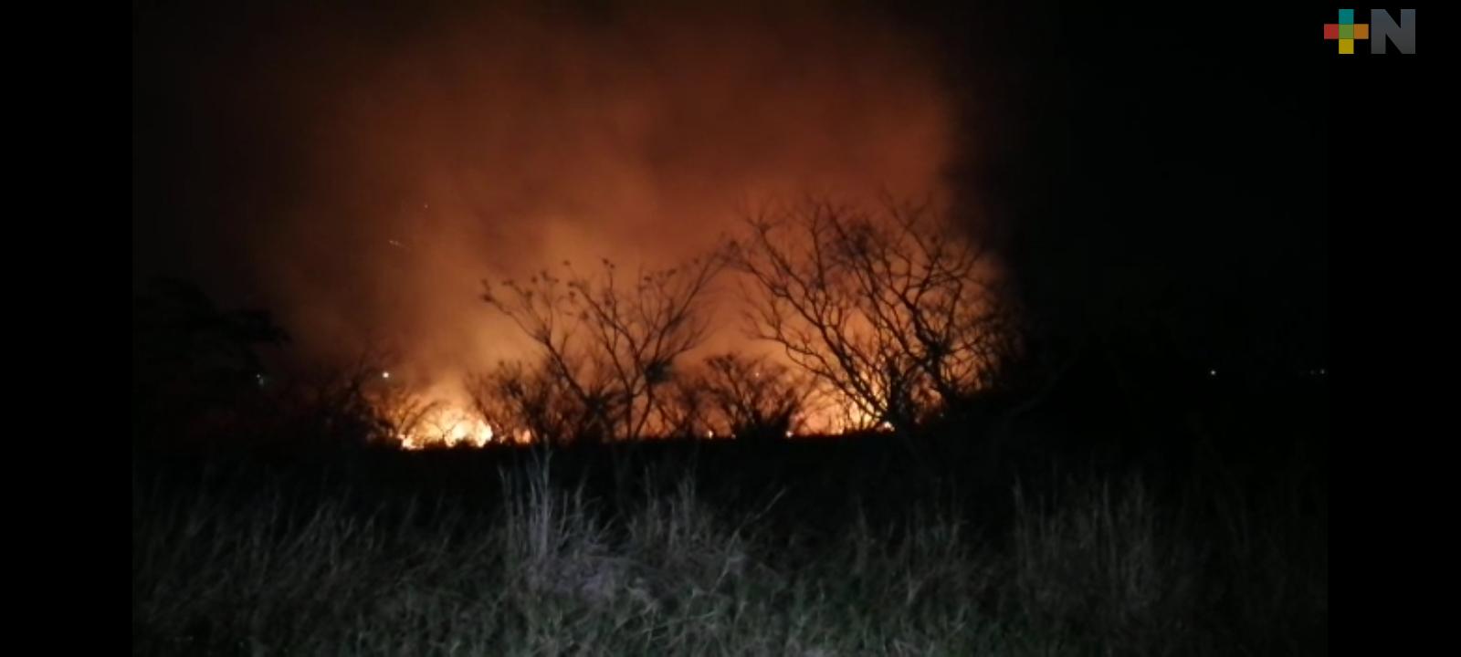 Se registra incendio forestal en Puente Moreno