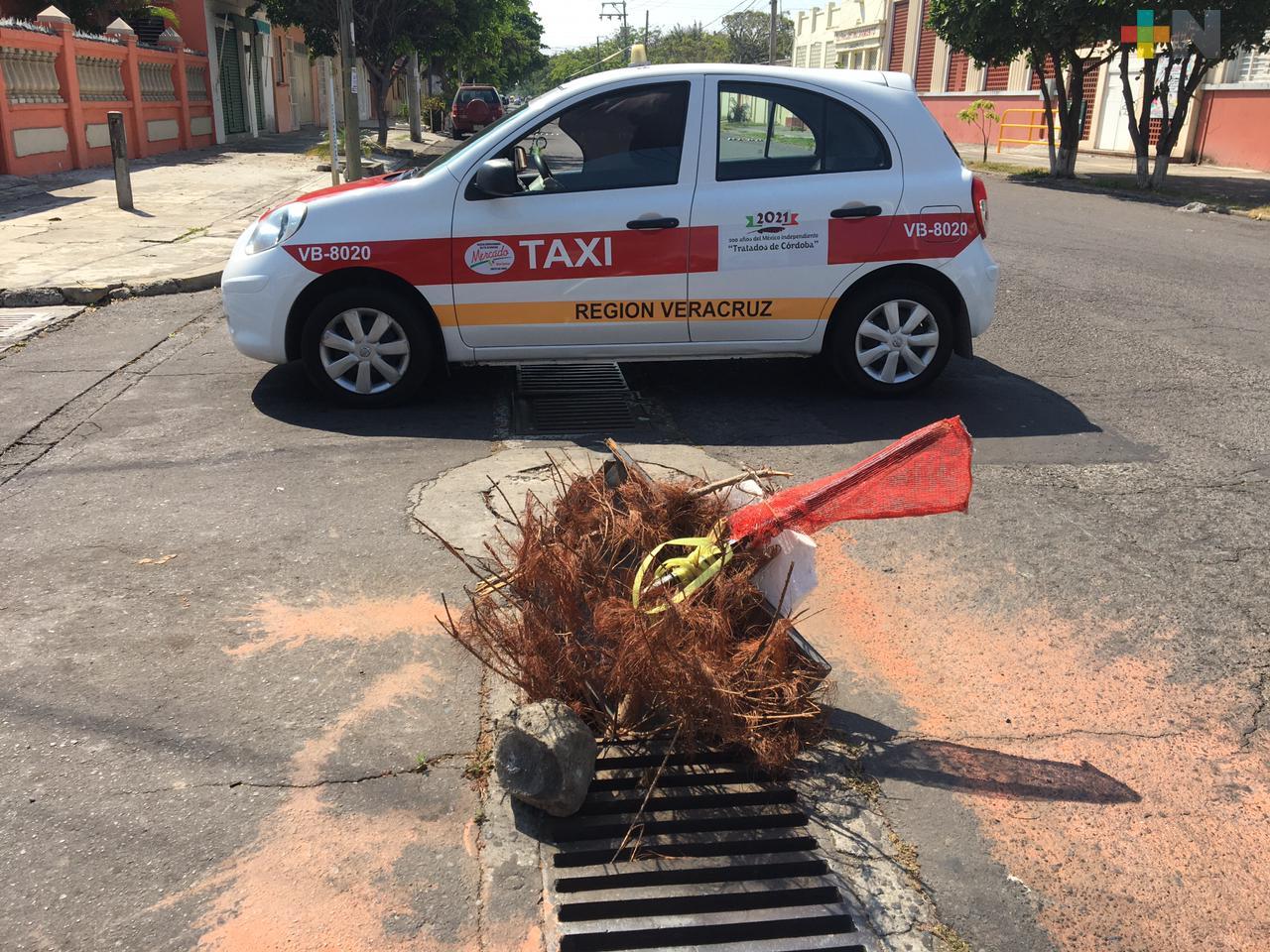 Piden reparar alcantarilla rota en calle Francisco Canal esquina Revillagigedo de Veracruz