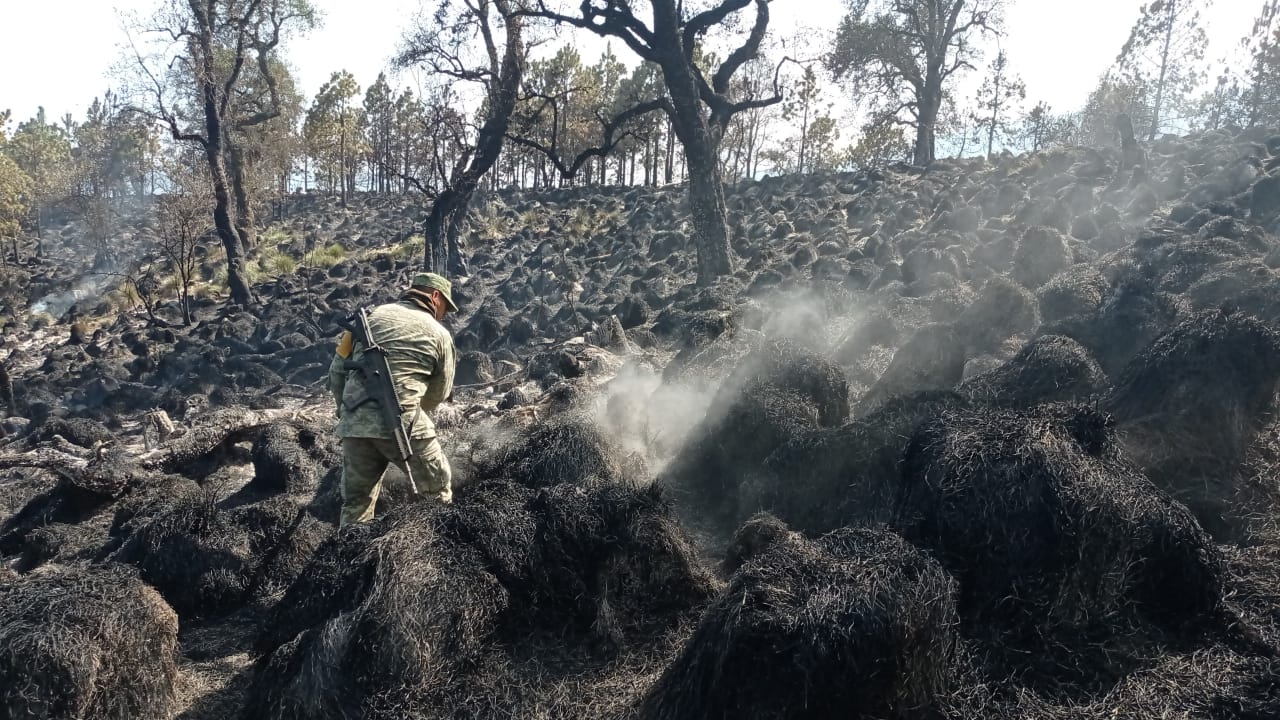Ejército Mexicano aplica el Plan DN-III-E en la sofocación incendio forestal