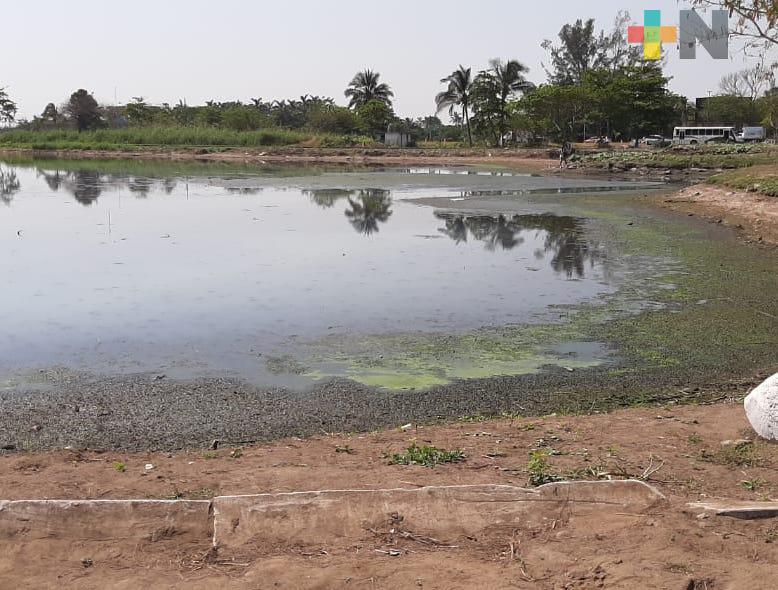 Reportan contaminación en laguna Olmeca de Veracruz