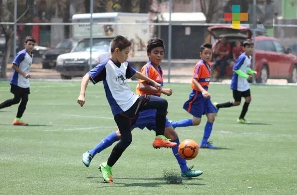 Estado de Veracruz será sede de torneos en 2021