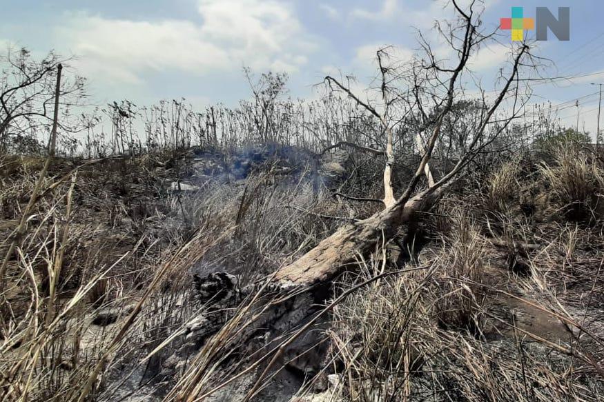 Incendio de pastizal en carretera Veracruz-Medellín pudo haber sido provocado: PC Boca del Río