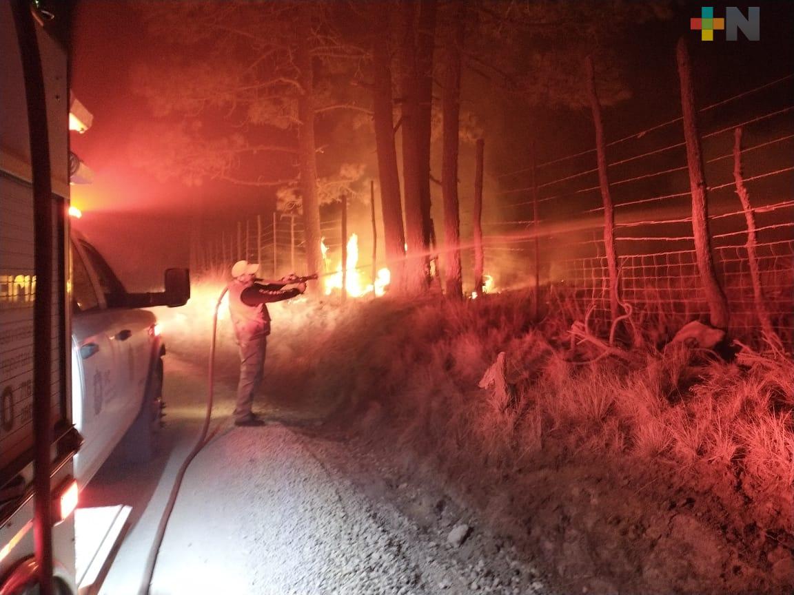 Reportan extinguido incendio forestal en el municipio de Las Vigas