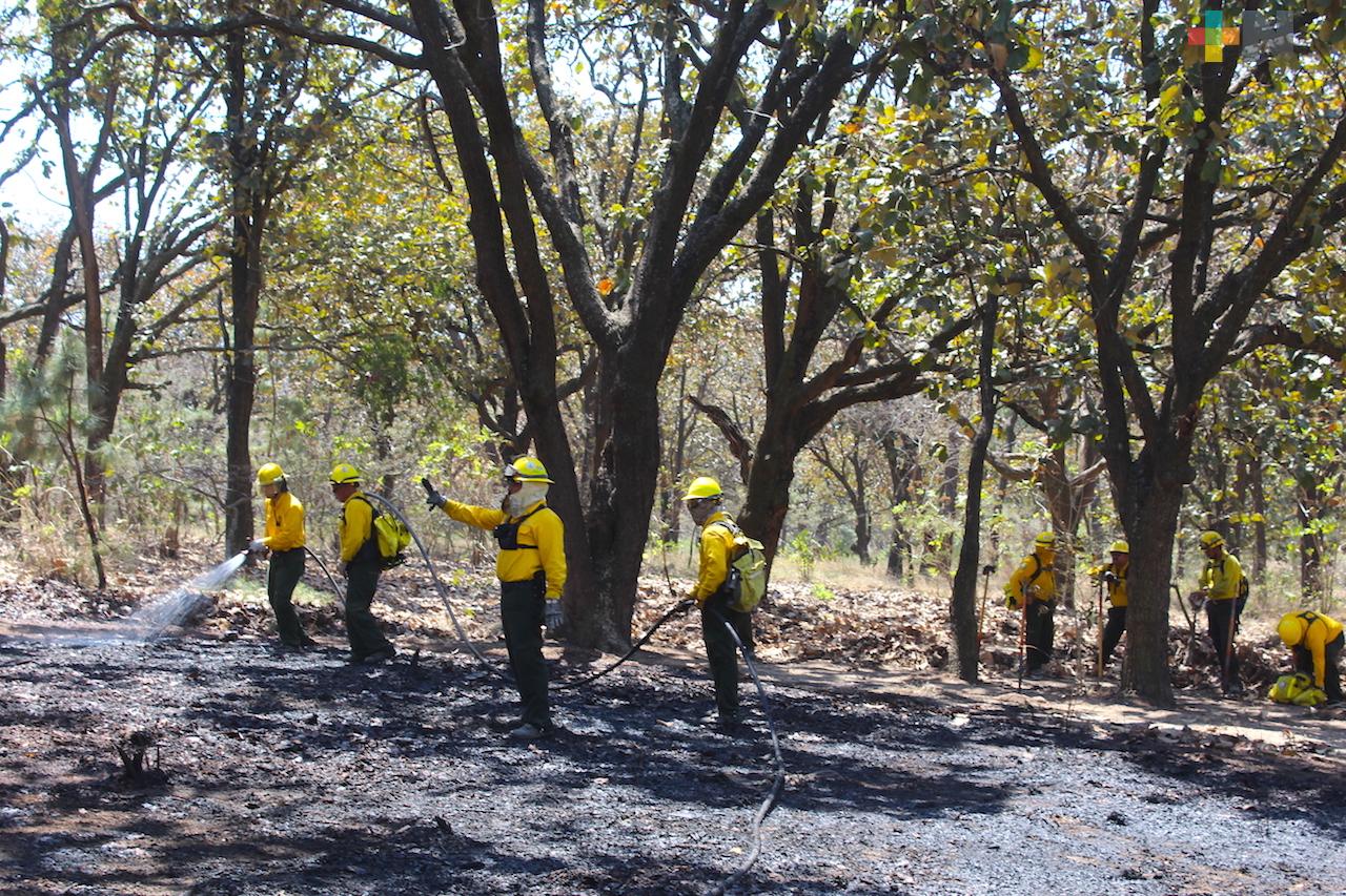 Sin incendios forestales en Veracruz, reporta Sedema