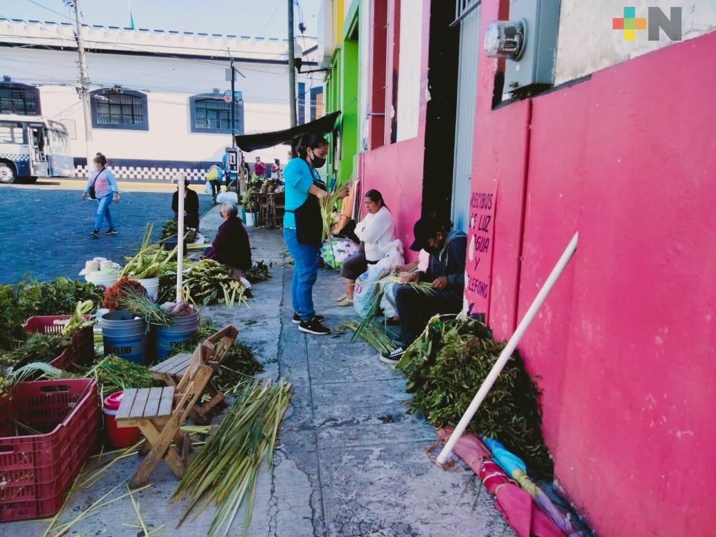 Regresaron artesanos de palmas a Xalapa