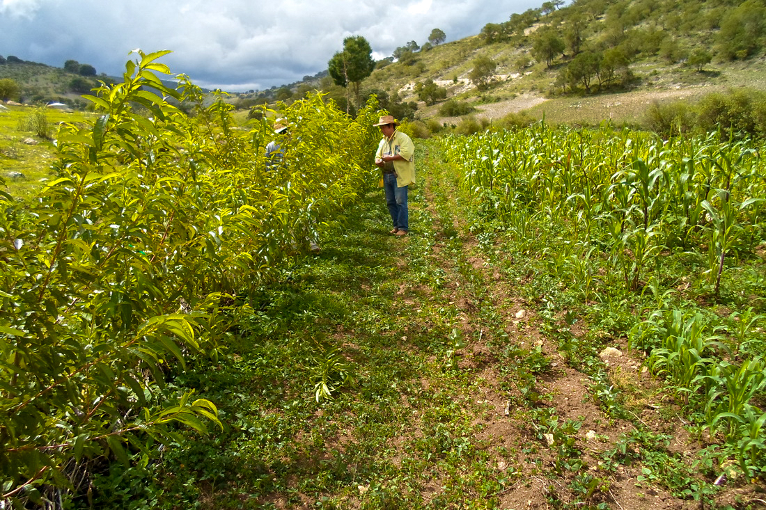 La agroecología es el presente para el campo