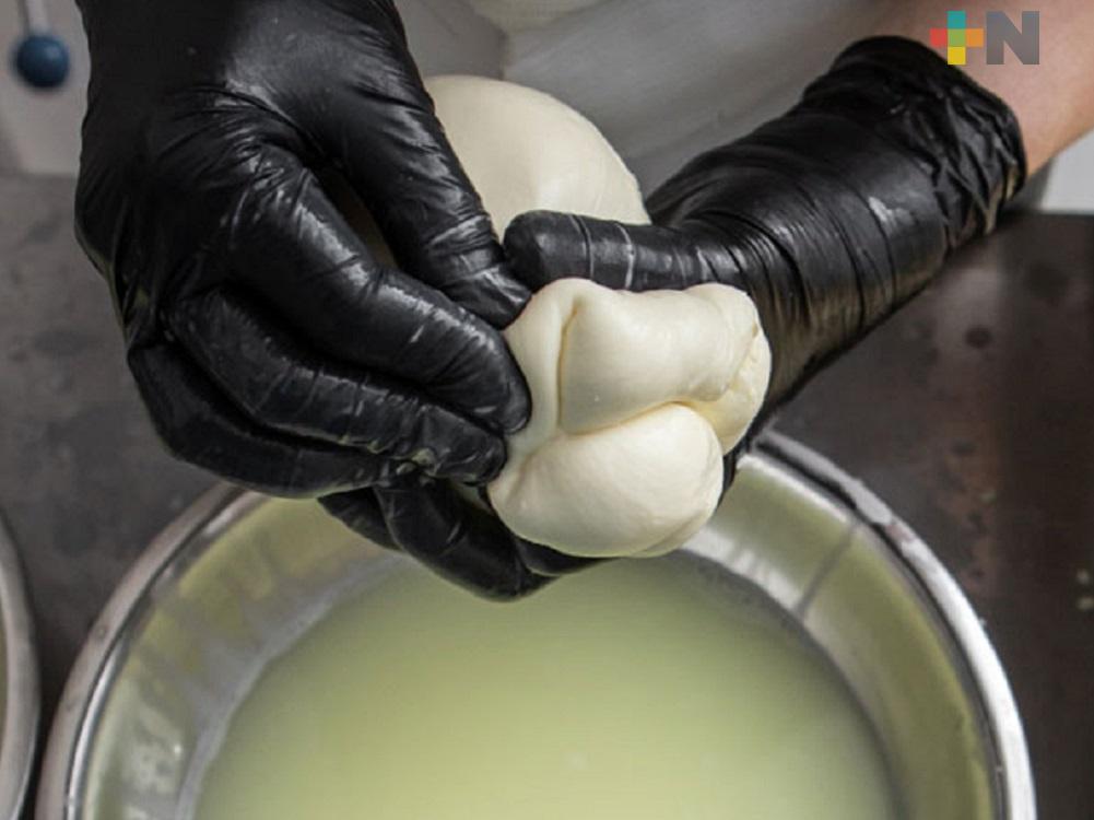 Elaborar quesos con leche pasteurizada evita riesgos a la salud: Cofepris