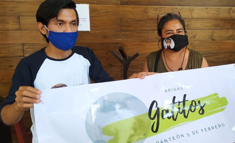 Brigadistas de protección a gatos, denunció a otra organización que lucra a su nombre