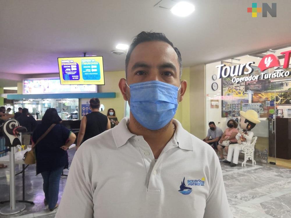 Programa «Acuarista por un día» permite a familias  interactuar con especies del  Acuario de Veracruz