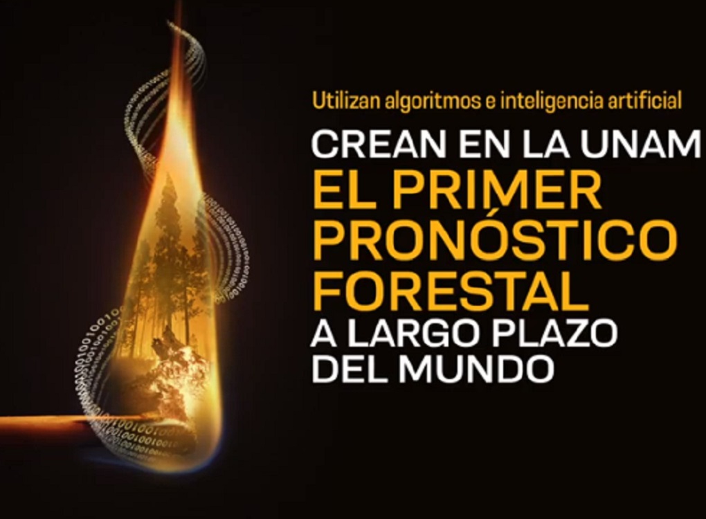 Crean en la UNAM primer pronóstico forestal a largo plazo en el mundo