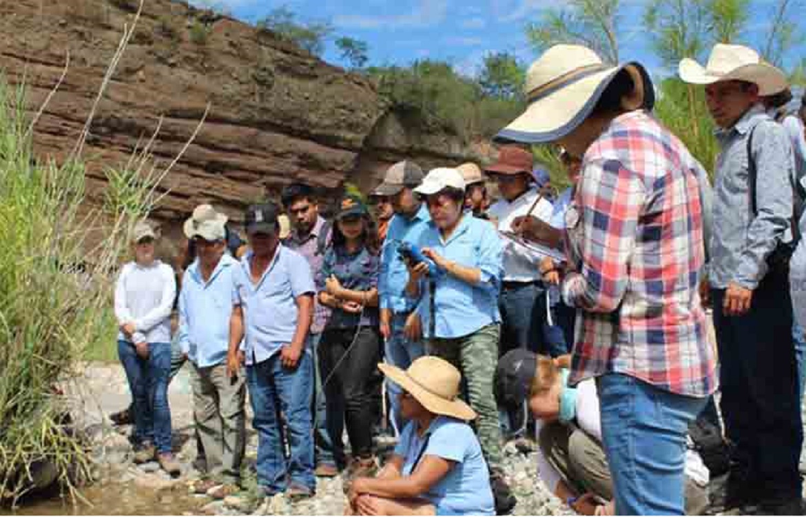 Desarrollan investigadores del IPN app para evaluar calidad del agua en reserva natural