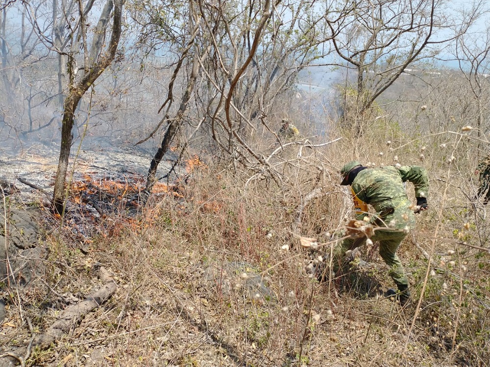 Ejército Mexicano aplicó Plan DN-III-E en sofocación de incendio en municipio de Alto Lucero