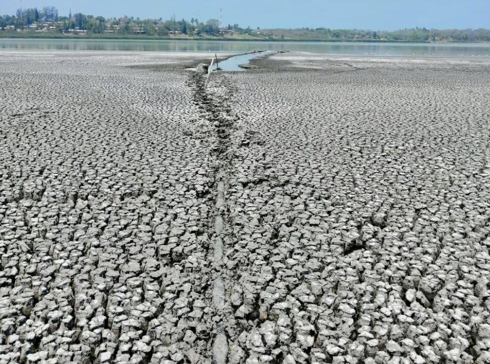 Desecamiento de laguna de Farallón es por factor humano, deduce Conagua