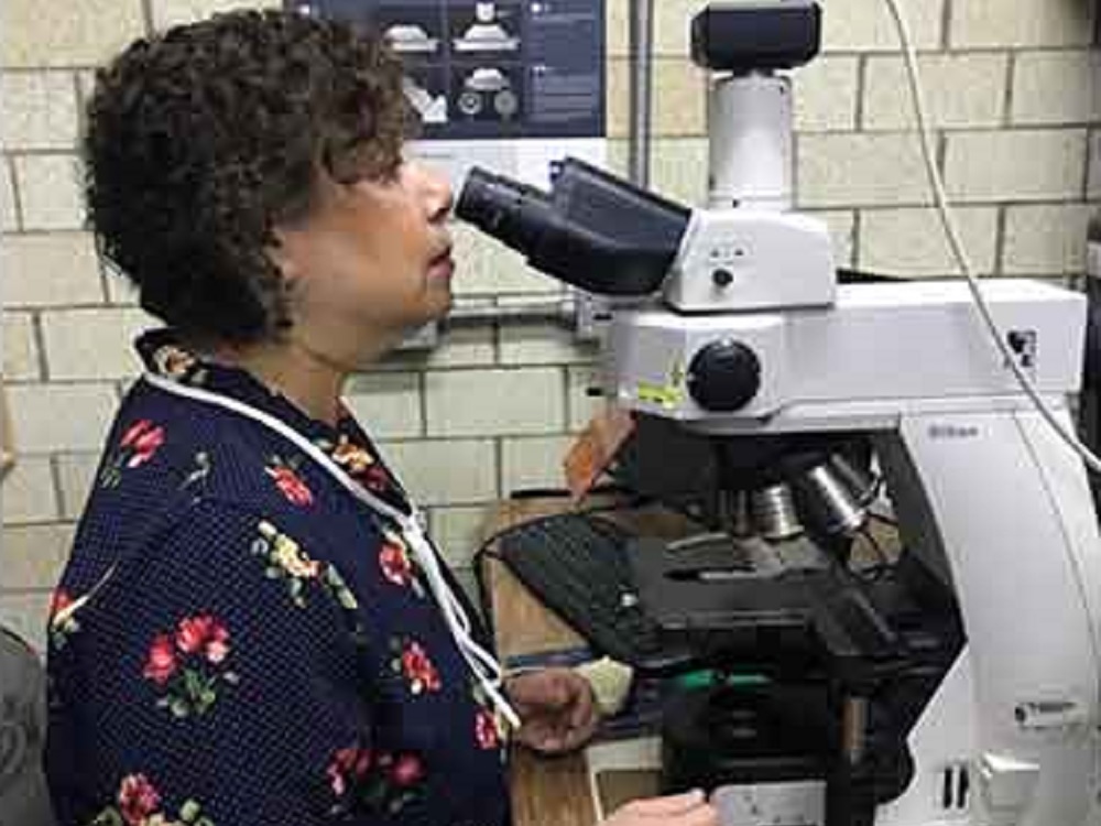 Evalúa IPN compuestos naturales para combatir la amibiasis