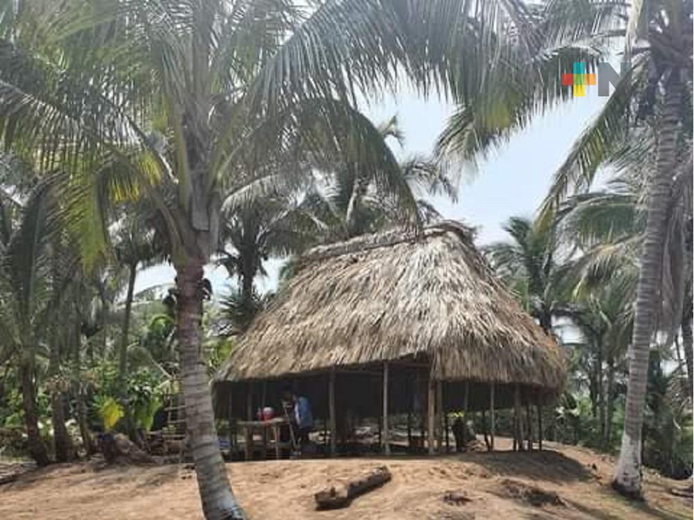 Falso que Asociación Regenerando Nuestro Entorno se encargue de proteger a la tortuga marina en Guillermo Prieto