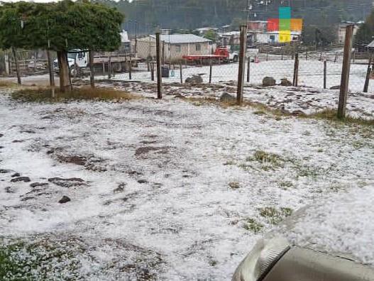 Se registran granizadas en cuatro municipios de la zona centro