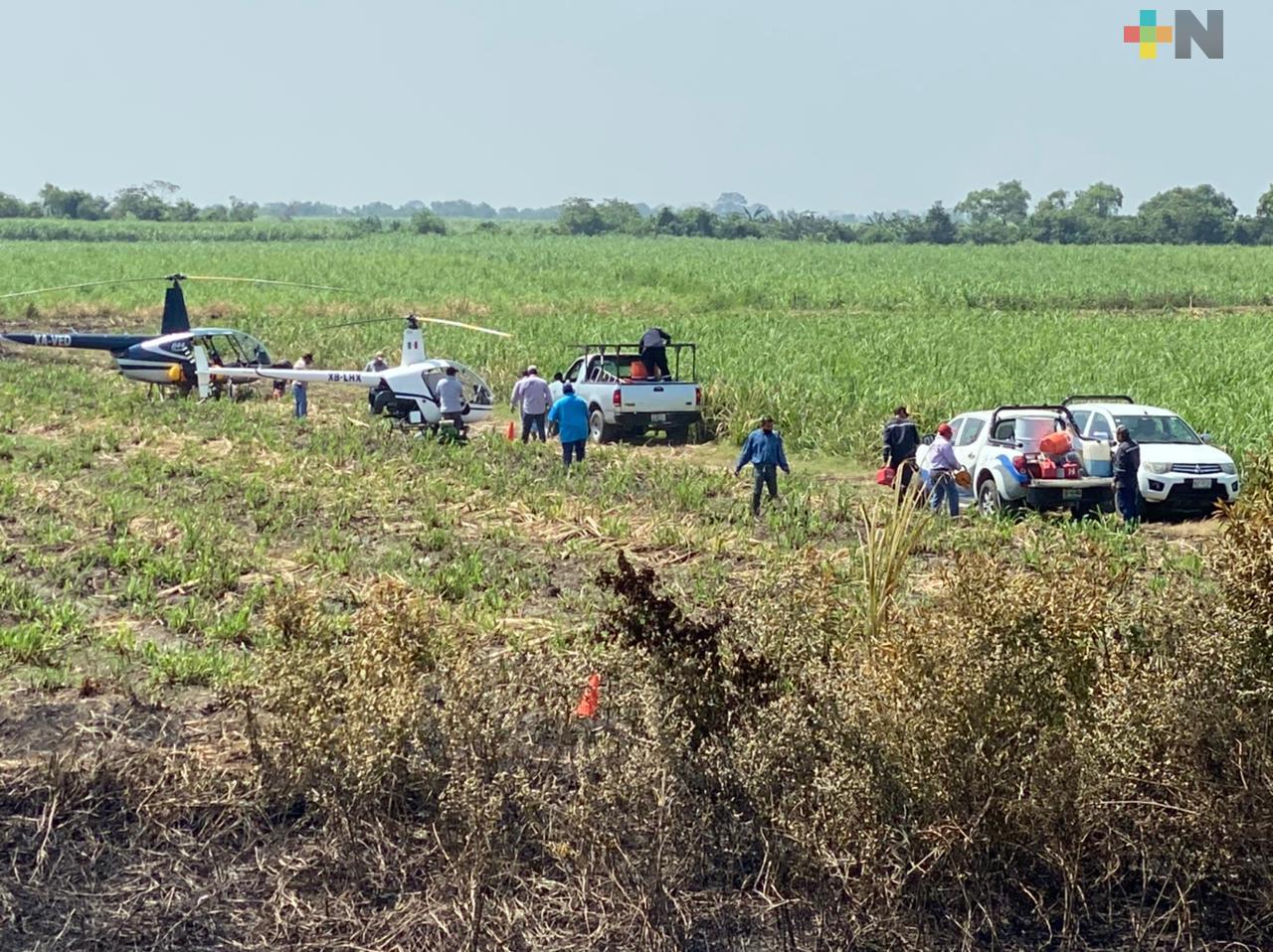 Atienden propuesta de combatir plaga de rata con uso de helicópteros