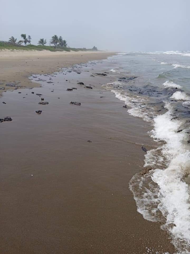 Chapopote amenaza a campamento tortuguero de Tecolutla