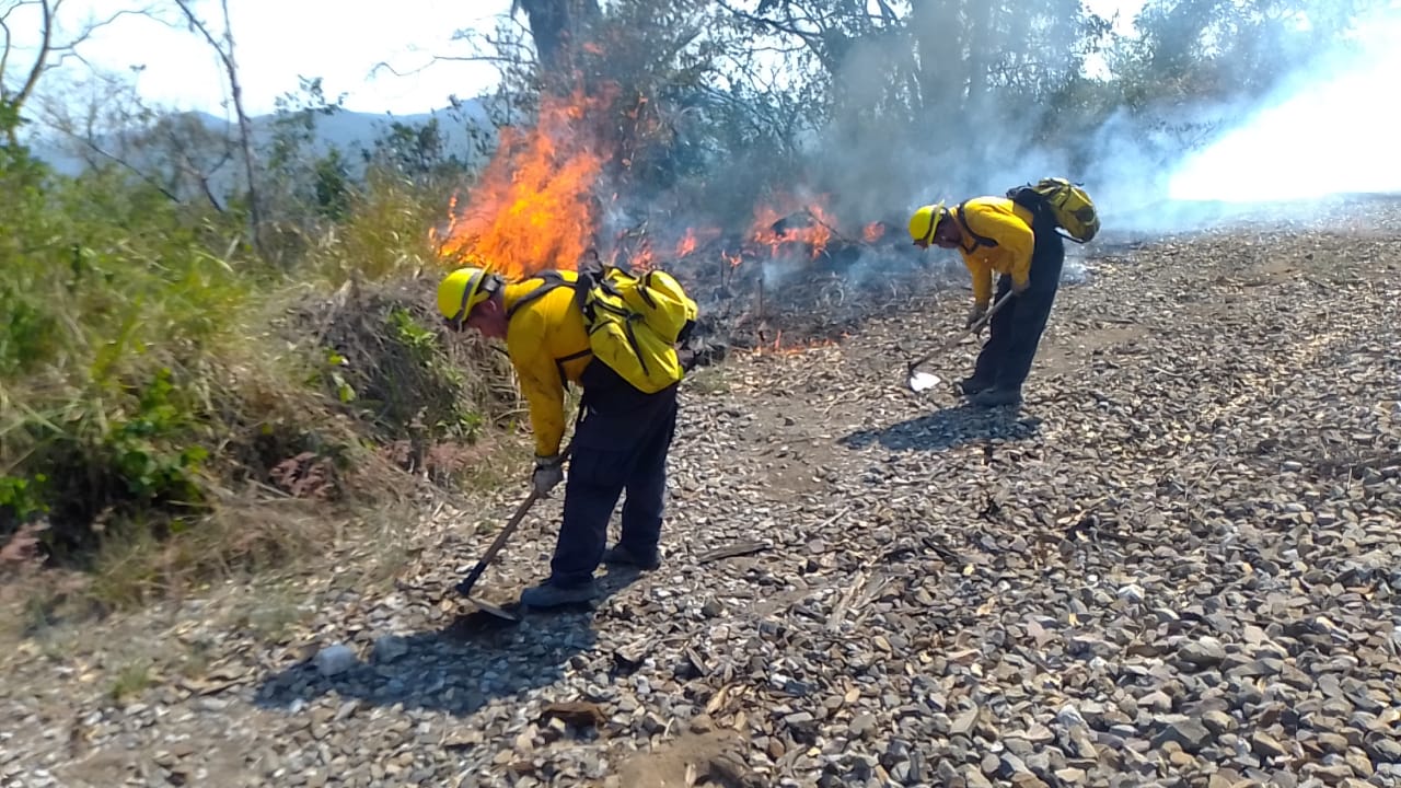 Controlados, incendios registrados este miércoles en Veracruz: PC