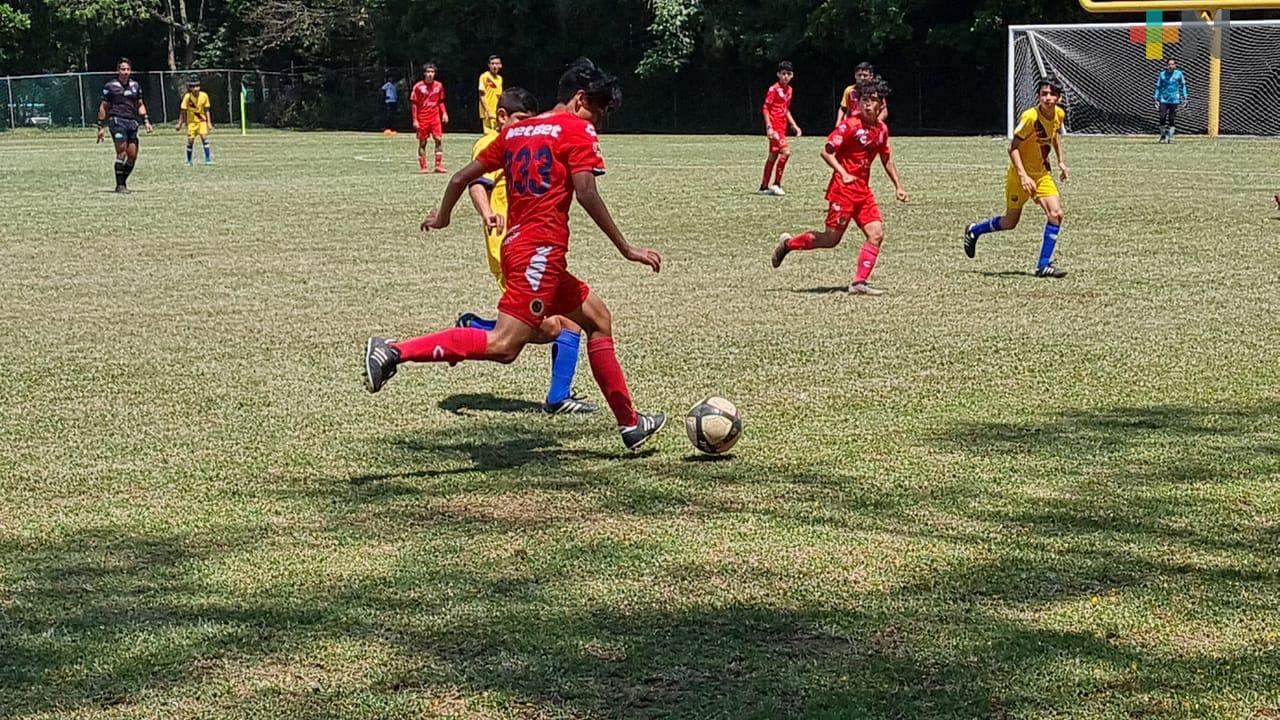 Liga Nacional arroja campeones en la entidad veracruzana