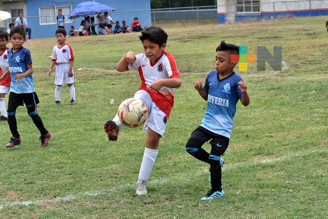 Presentan los campos de la escuela de Tiburones Playa de Vacas