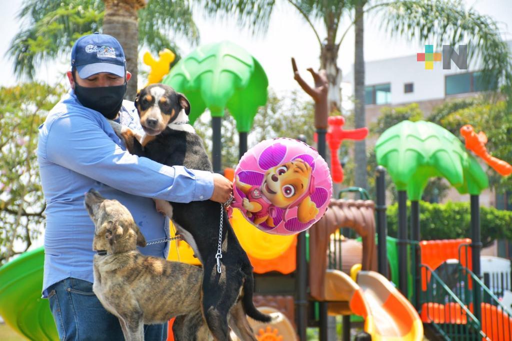 Centro de Bienestar Animal de Córdoba realizará Pasarela de Adopción Canina