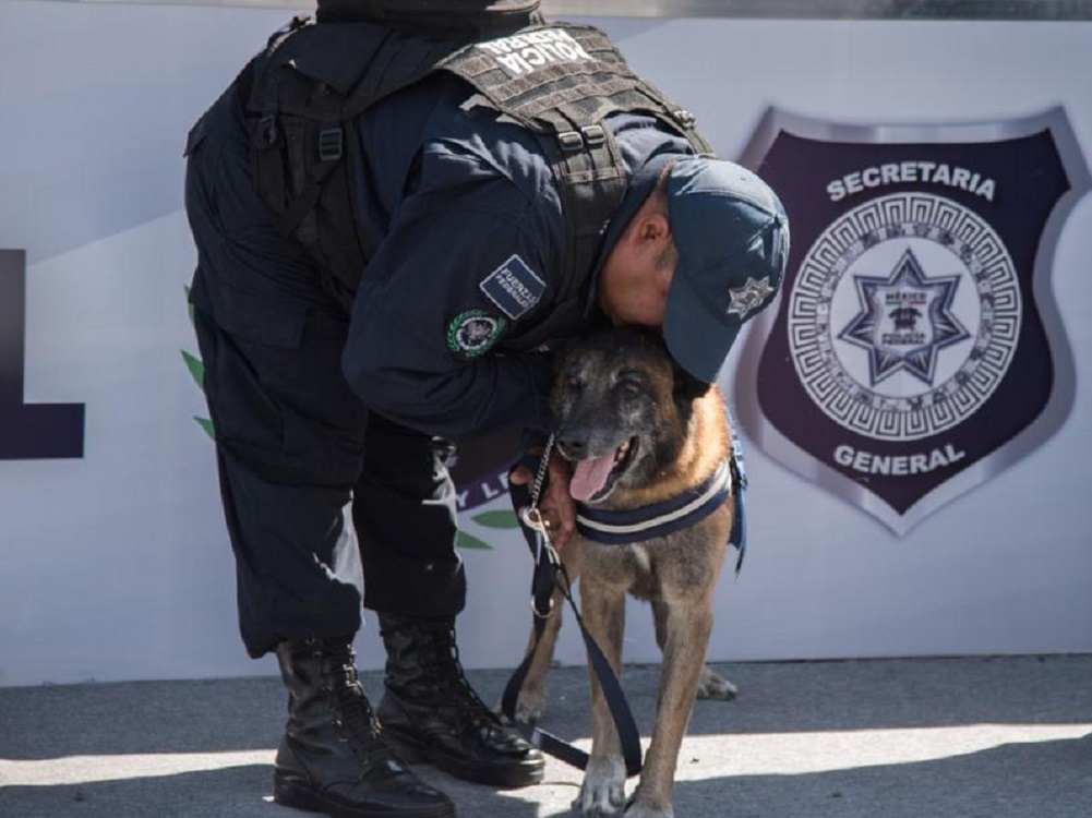 Se jubilan sensores de la Unidad Canina de la Administración General de Aduanas