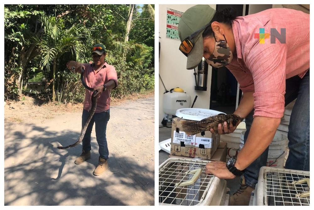 Incendios en pastizales afecta a fauna silvestre de la zona costera: Earth Mission