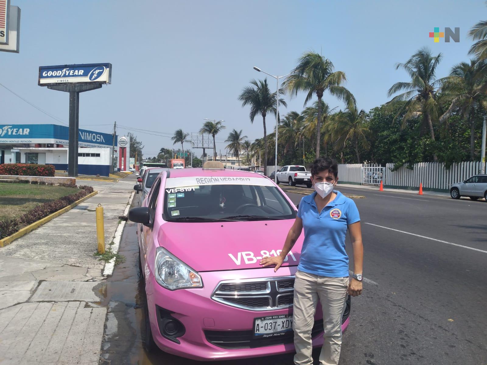 Taxi Pink Pet, una opción para transportar a las mascotas en Veracruz-Boca del Río