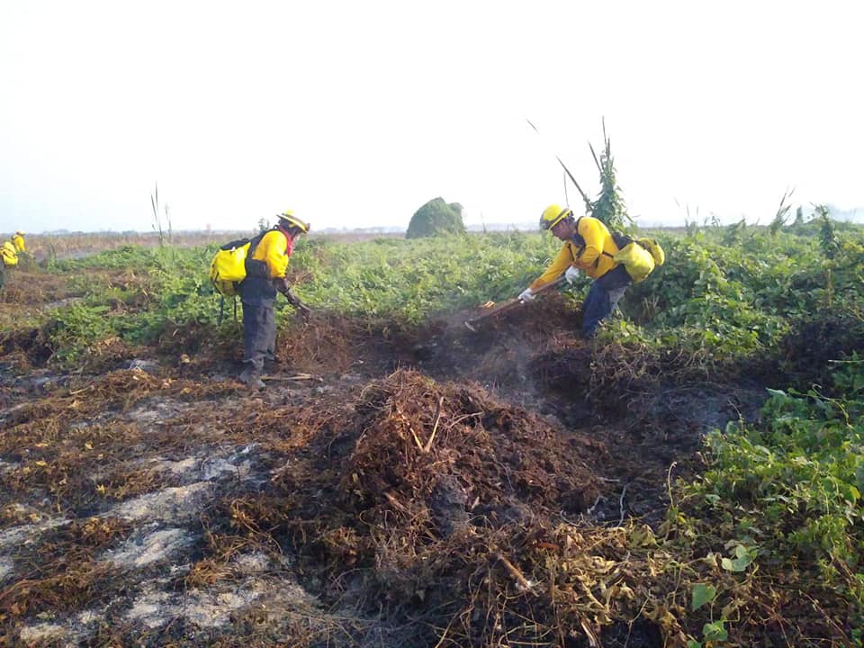 Reporta Sedema 75 % de control del incendio de Tembladeras en Veracruz