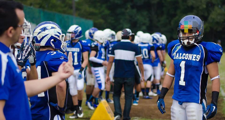Halcones UV, presentes en la asamblea de la ONEFA