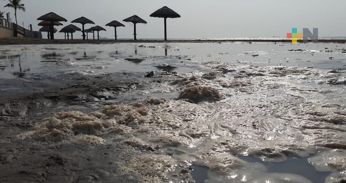 Marea alta causa espuma y una especie de nata color café en playa de Boca del Río