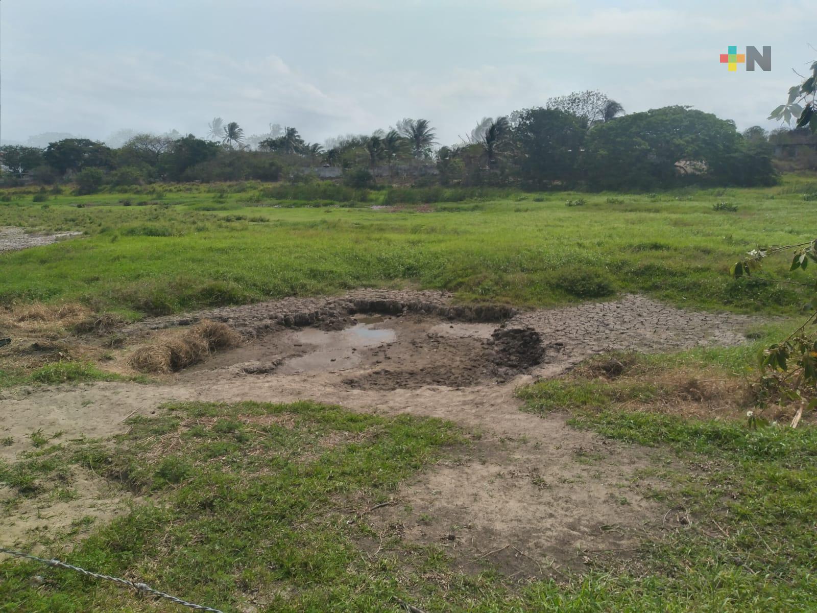 Por desaparecer laguna Tarimoya del municipio de Veracruz